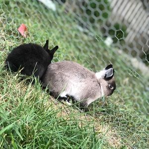 Meet your Posher, Chloe